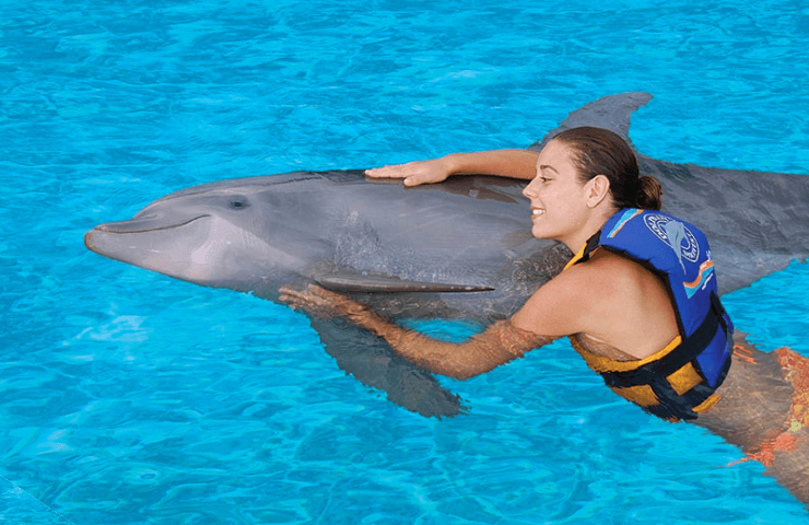 Isla Mujeres y Dolphin Swim Adventure